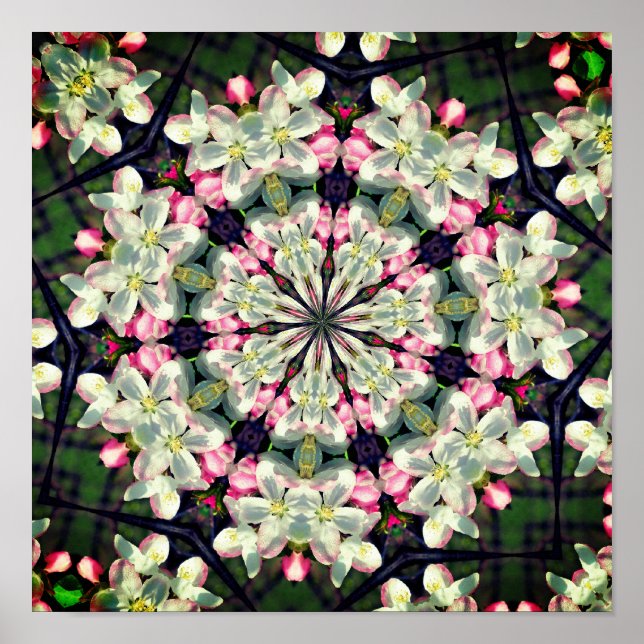 Söt Vår Blommar Flower Abstrakt Art Poster (Framsidan)