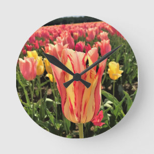 Söt Vår Tulip, Oregon Rund Klocka