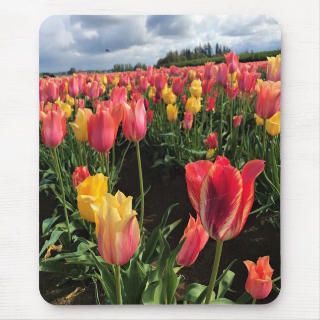 Söt Vår Tulips i Fält, Oregon Musmatta (Framsidan)