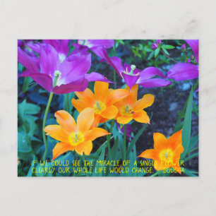 Söt Vår Tulips Orange Lila vykort