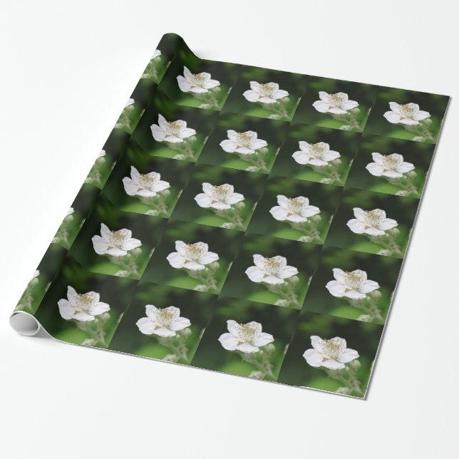 Söt vår vita hallonbär, blomsterfotografi presentpapper (Utrullad)