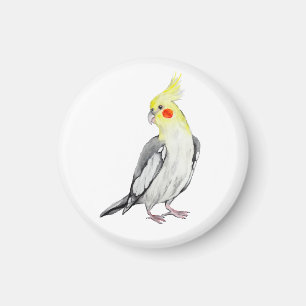 Söt vatomalaj vattensfärgs papegoja.  magnet