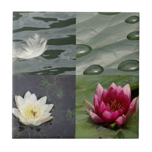 Söt Vatten Lilies Kakelplatta