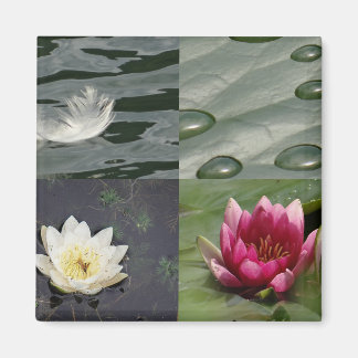Söt Vatten Lilies Magnet
