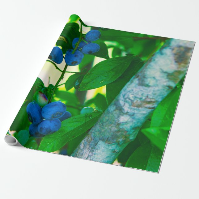 Söt Vegetables Presentpapper (Utrullad)