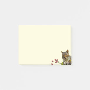 Söt vild ekorre på elfenben post-it block