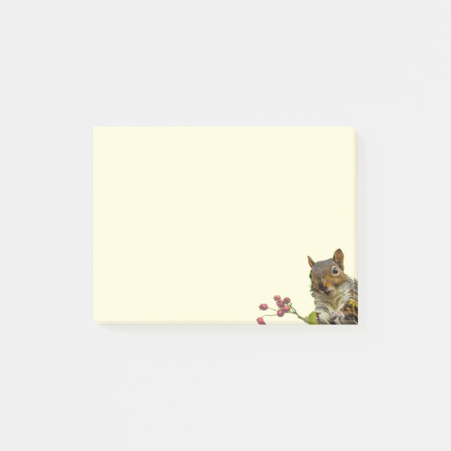 Söt vild ekorre på elfenben post-it block (Framsida)