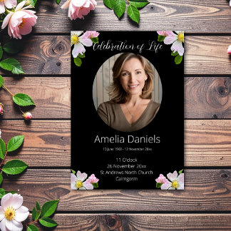 Söt Vild Ro Firande med livförsäkringskort Meddelande