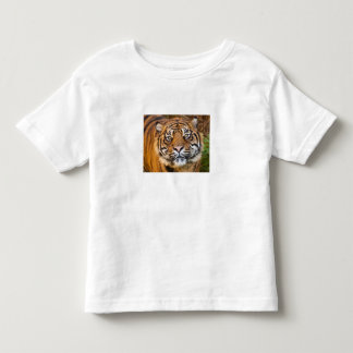 Söt vild tiger foto för barn t-shirt