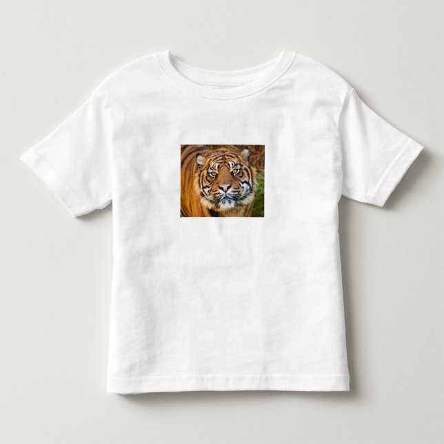 Söt vild tiger foto för barn t-shirt (Framsida)