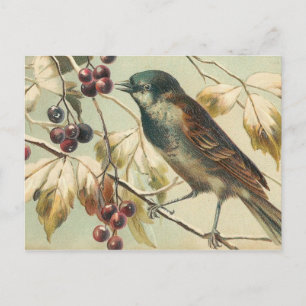 Söt Vintage Bird Vykort