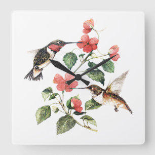 Söt Vintage Blommigt Hummingbird Pair Fyrkantig Klocka