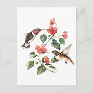 Söt Vintage Blommigt Hummingbird Pair Vykort