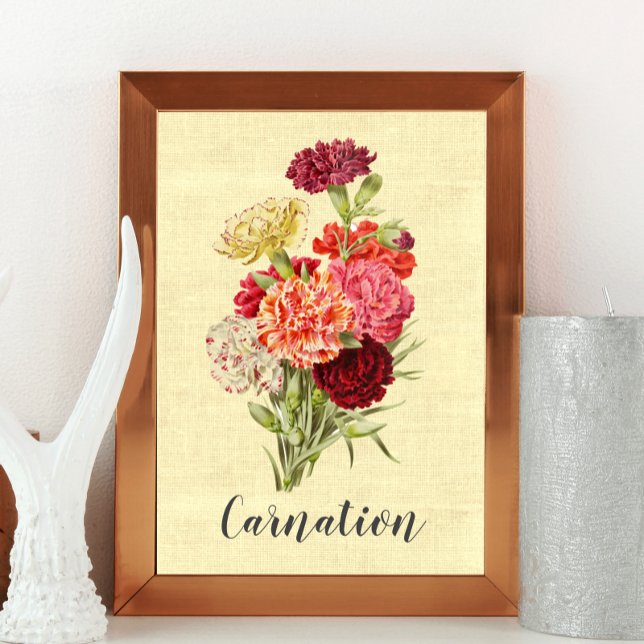 Söt Vintage Carnation Bouquet Poster (Skapare uppladdad)