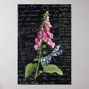 Söt Vintage Flower & Butterfly Botaniana Poster