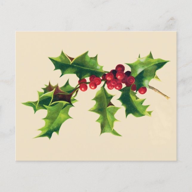 Söt Vintage Holly gren (Framsida)