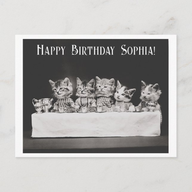 Söt vintage katt födelsedags teparty  vykort (Framsida)