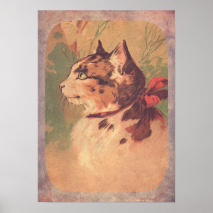 Söt Vintage Kattunge Poster
