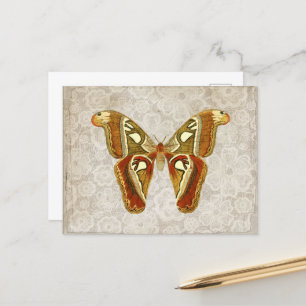 Söt Vintage Moth Botanical Vykort