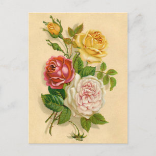 Söt Vintage Ro Illustration Vykort