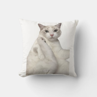 Söt Vit Katt Rensar Ben Roligt Kattälskare Kudde
