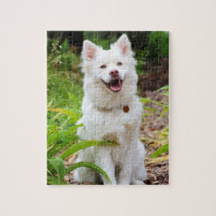 Söt Vit Lapp Hund Hund Grön Bakgrund Foto Pussel