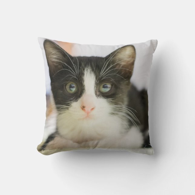 Söt vit- och svartkattunge kudde (Framsida)