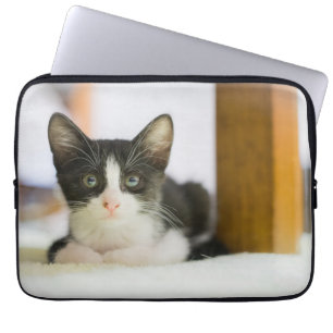Söt vit- och svartkattunge laptop sleeve