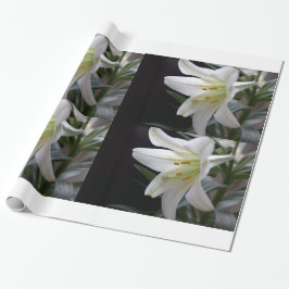 Söt, vit Påsk-bläckblomma i svart Presentpapper