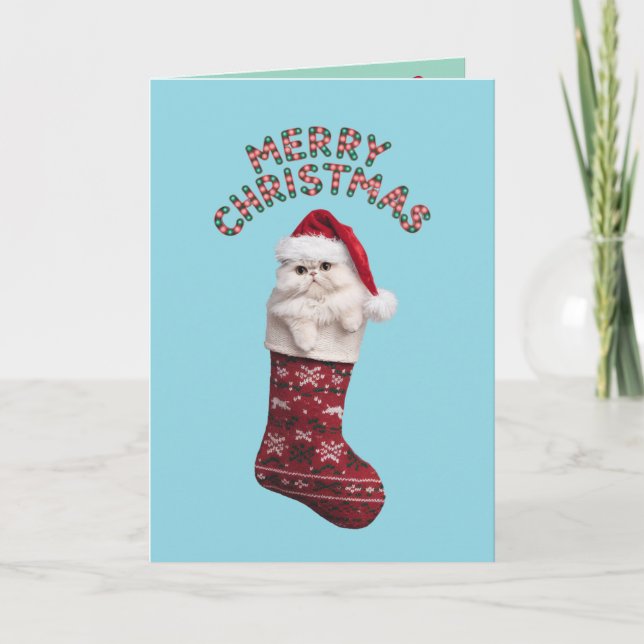 Söt vit perserkat jul kort (Framsida)