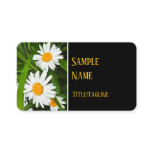 söt vita daisy blommor Naturfotografi