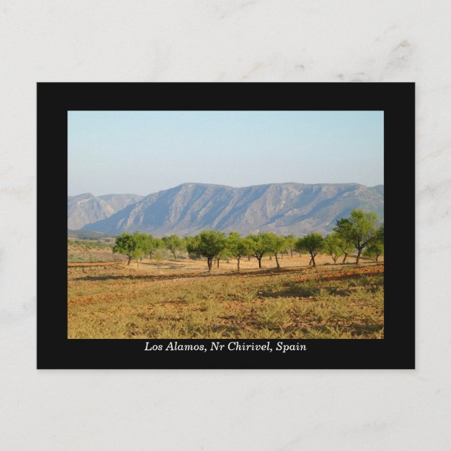 Söt-vykort från Los Alamos, Nr Chirivel, Spanien Vykort (Framsida)