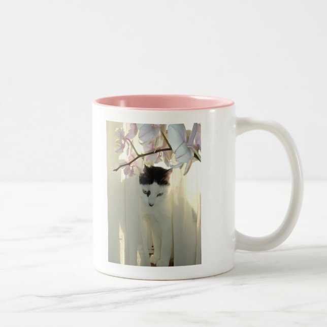 Söt White Cat Två-Tonad Mugg (Höger)