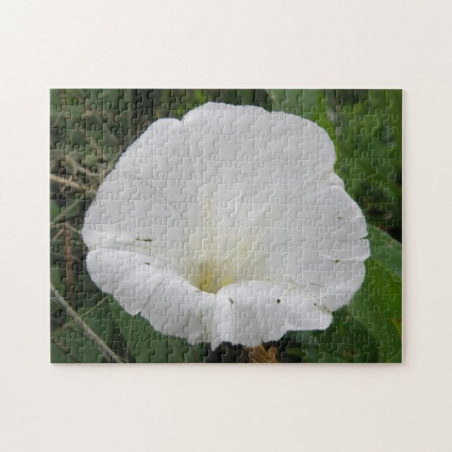 Söt White Convolvulus Flower Puzzle Pussel (Horisontell)