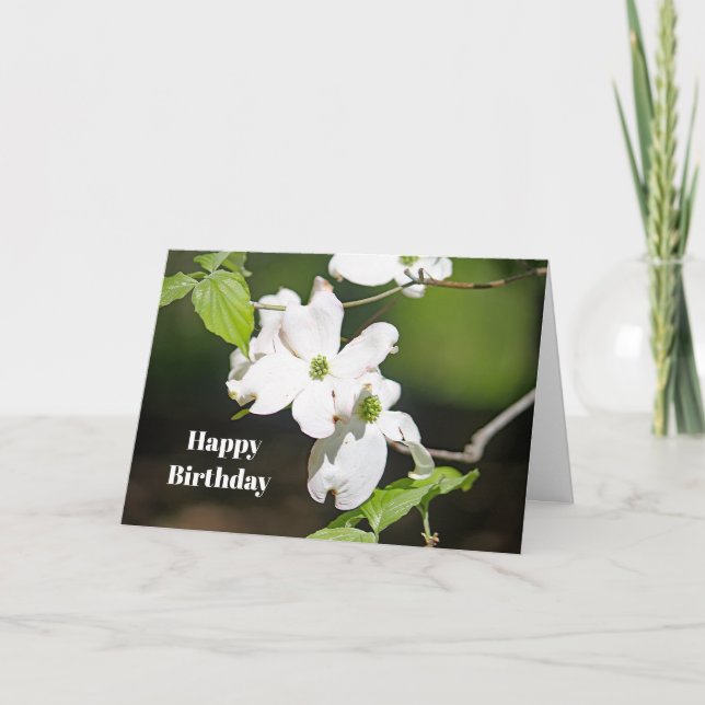 Söt White Dogwood Blommigt Foto Birthday Kort (Framsida)