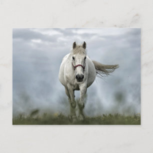 Söt White Horse Cloud Photo Vykort