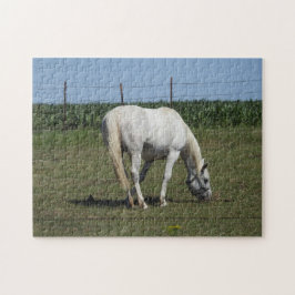 Söt White Horse Pussel