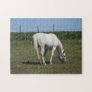 Söt White Horse Pussel