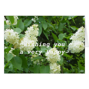 Söt White Lilac Bush Hälsningskort
