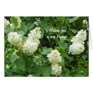 Söt White Lilac Bush Hälsningskort
