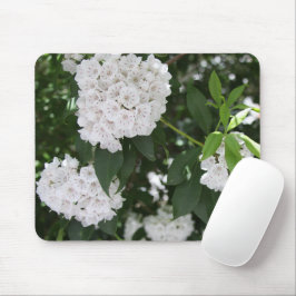 Söt White Mountain Laurel Star Shaped Flowers Musmatta