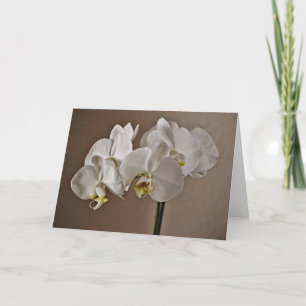 Söt White Orchid Flowers Note Card Kort