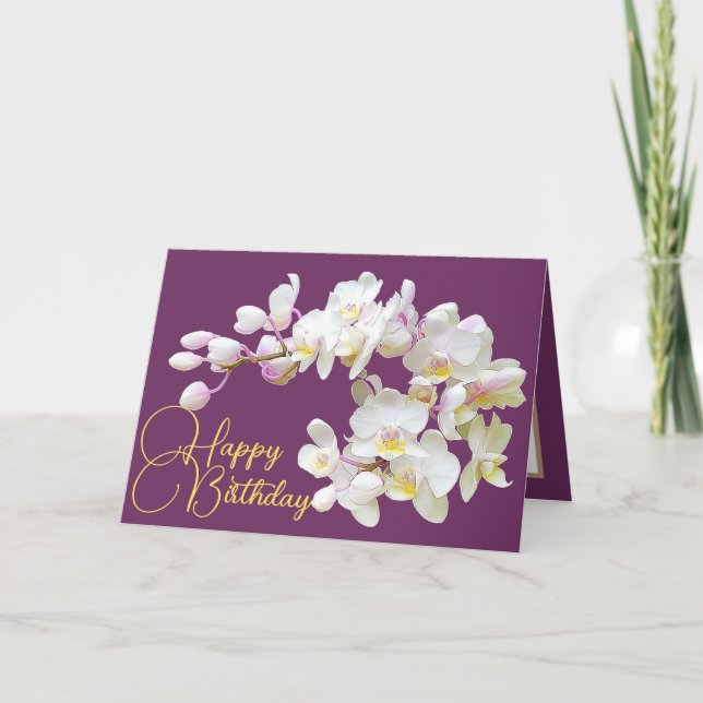 Söt White Orchid Lila Backdroppe Grattis på födels Kort (Framsida)