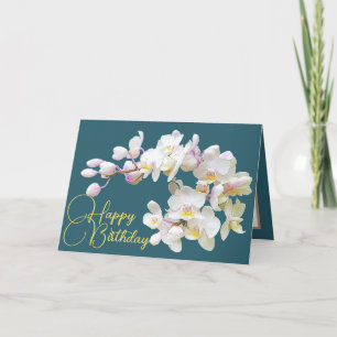 Söt White Orchids Aqua BackDrop Grattis på födelse Kort