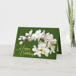 Söt White Orchids Grönt Bakdroppe Grattis på födel Kort
