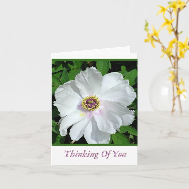 Söt White Peony / Thinking of You / Blank Inside Kort (Gul blomma)