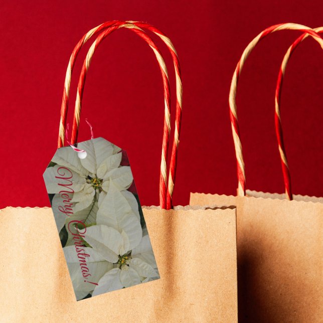 Söt White Poinsettias Helgdag Presentetikett (In Situ)