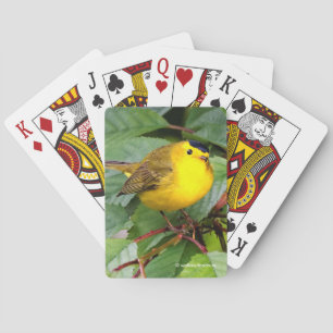 Söt Wilsons Warbler i Cherry Träd Casinokort