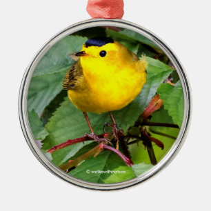 Söt Wilsons Warbler i Cherry Träd Julgransprydnad Metall