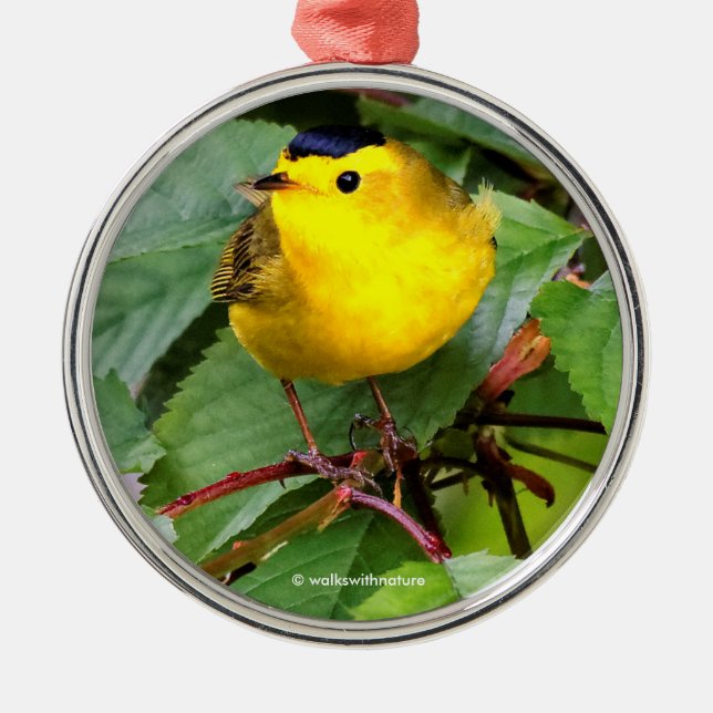 Söt Wilsons Warbler i Cherry Träd Julgransprydnad Metall (Framsidan)
